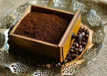 Die Anwendung von Kaffeepulver im Garten als Dünger