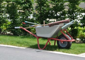 Die wichtigesten Gartengeräte