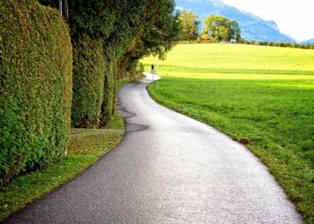 Teleskop Heckenschere