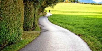 Teleskop Heckenschere