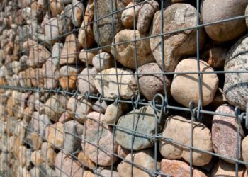 Gabionen bepflanzen – So kommt Farbe in die Steine