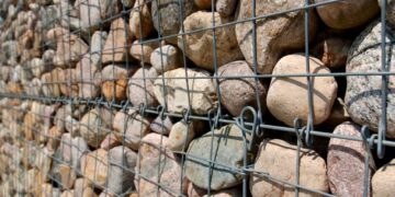 Gabionen bepflanzen – So kommt Farbe in die Steine