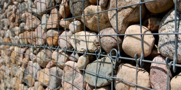 Gabionen bepflanzen – So kommt Farbe in die Steine