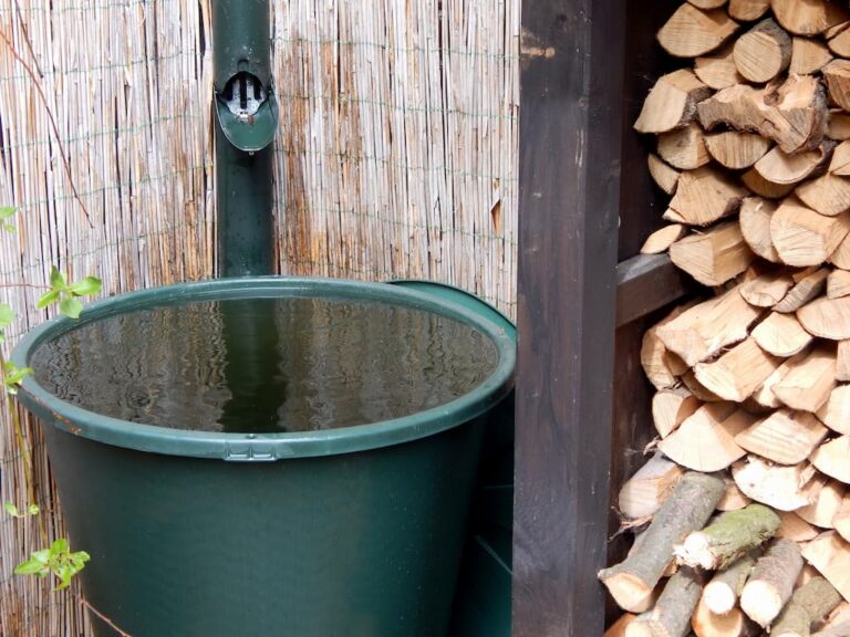 Regenwasser auffangen - Möglichkeiten, Vor- und Nachteile