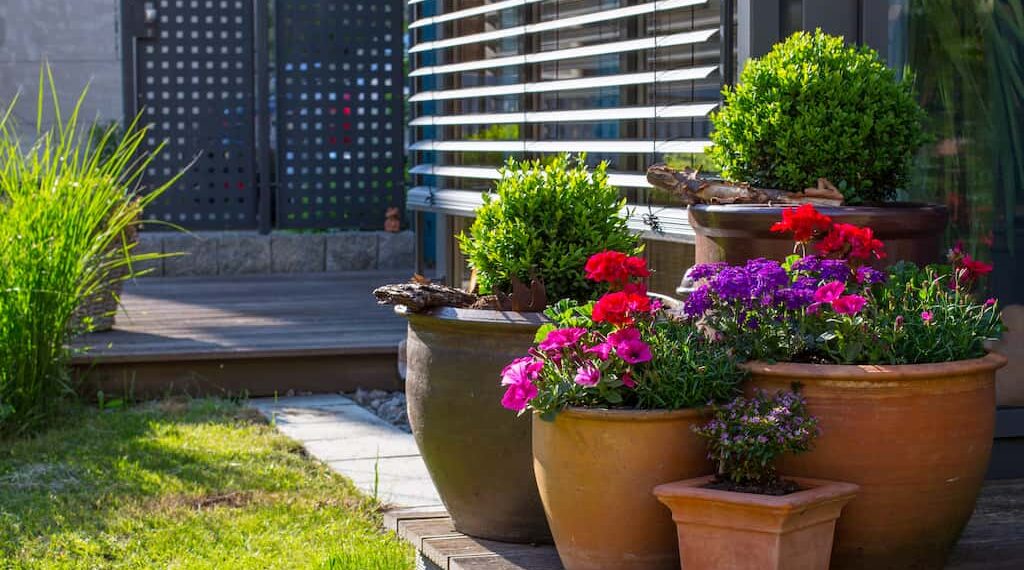 Pflanzen transportieren