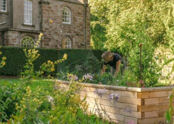 Vorteile von Hochbeeten und die richtige Befüllung