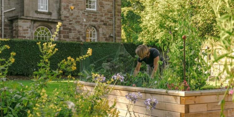Vorteile von Hochbeeten und die richtige Befüllung