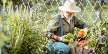 Vorräte zur Selbstversorgung anlegen