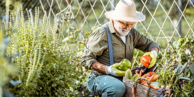 Vorräte zur Selbstversorgung anlegen