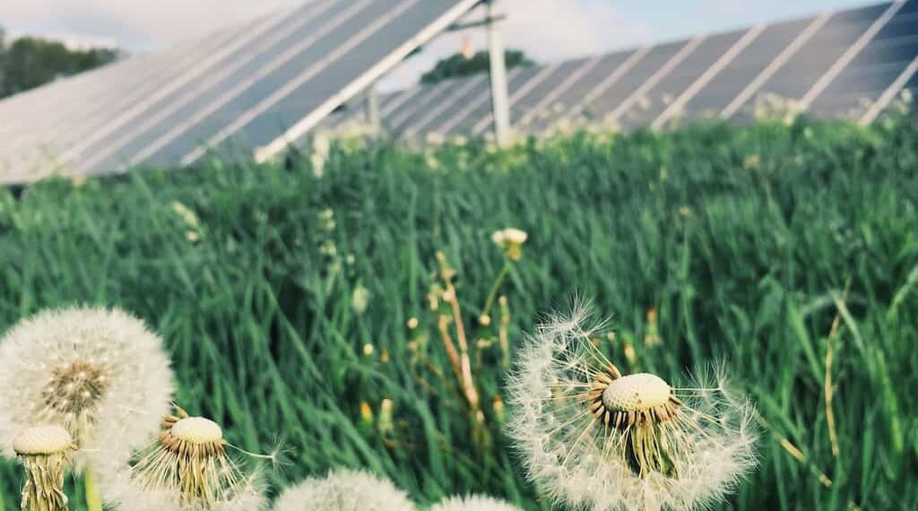Solaranlage im Garten
