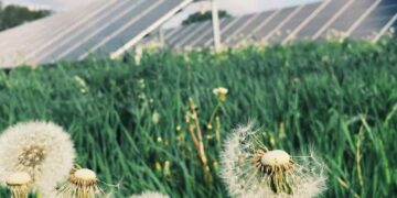 Solaranlage im Garten