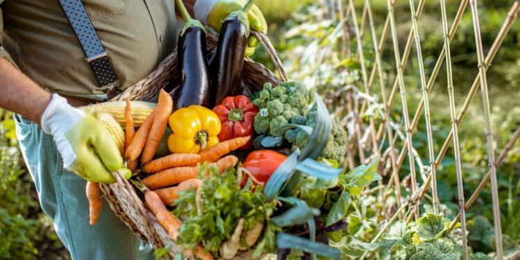 Autark als Selbstversorger