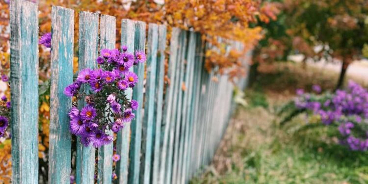 Gartenzaun – Arten im Überblick