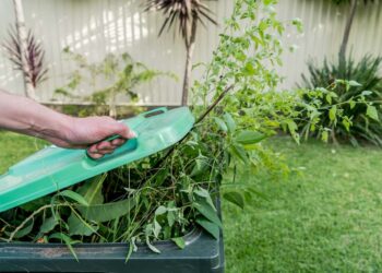 Gartenabfälle richtig entsorgen