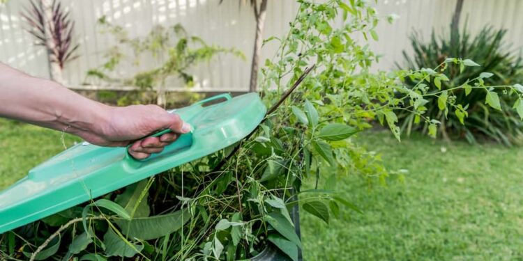 Gartenabfälle richtig entsorgen