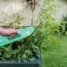 Gartenabfälle richtig entsorgen