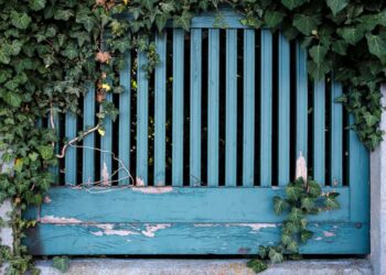 Zaun oder Hecke