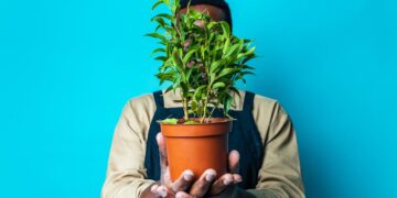 Gärtner mit Zimmerpflanze